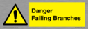 danger-falling-branches~